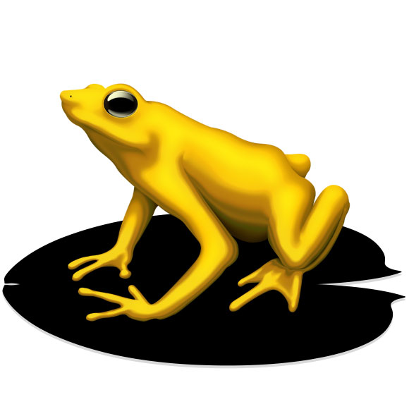 Illustrations - Gold Frog